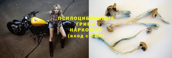 наркотики Бородино