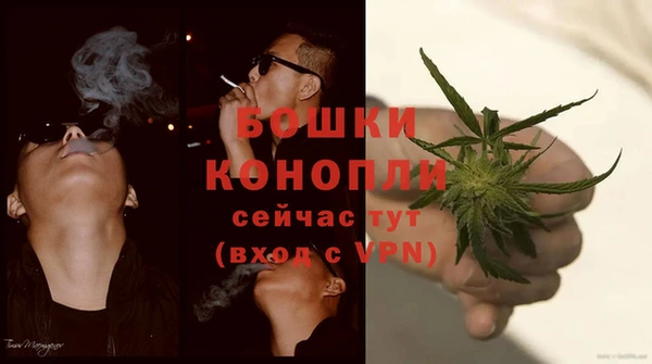 наркотики Бородино